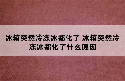 冰箱突然冷冻冰都化了 冰箱突然冷冻冰都化了什么原因